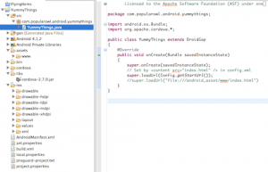 Crossing platforms between iOS and Android. Extending PhoneGap project